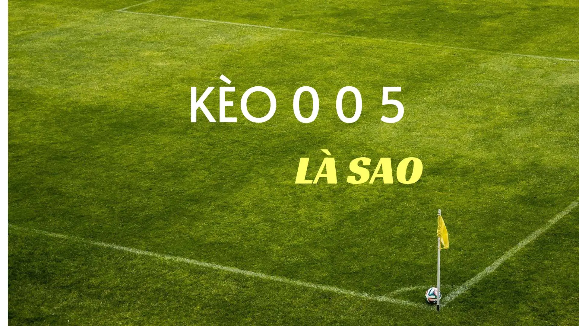 Kèo 0 0 5 là gì và cách đọc kèo này - Soi kèo 0 0 5 hiệu quả