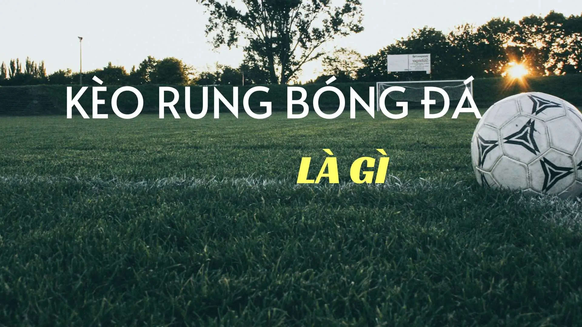 Kèo rung bóng đá là gì? Kinh nghiệm từ những người chơi kèo rung bóng đá thành công