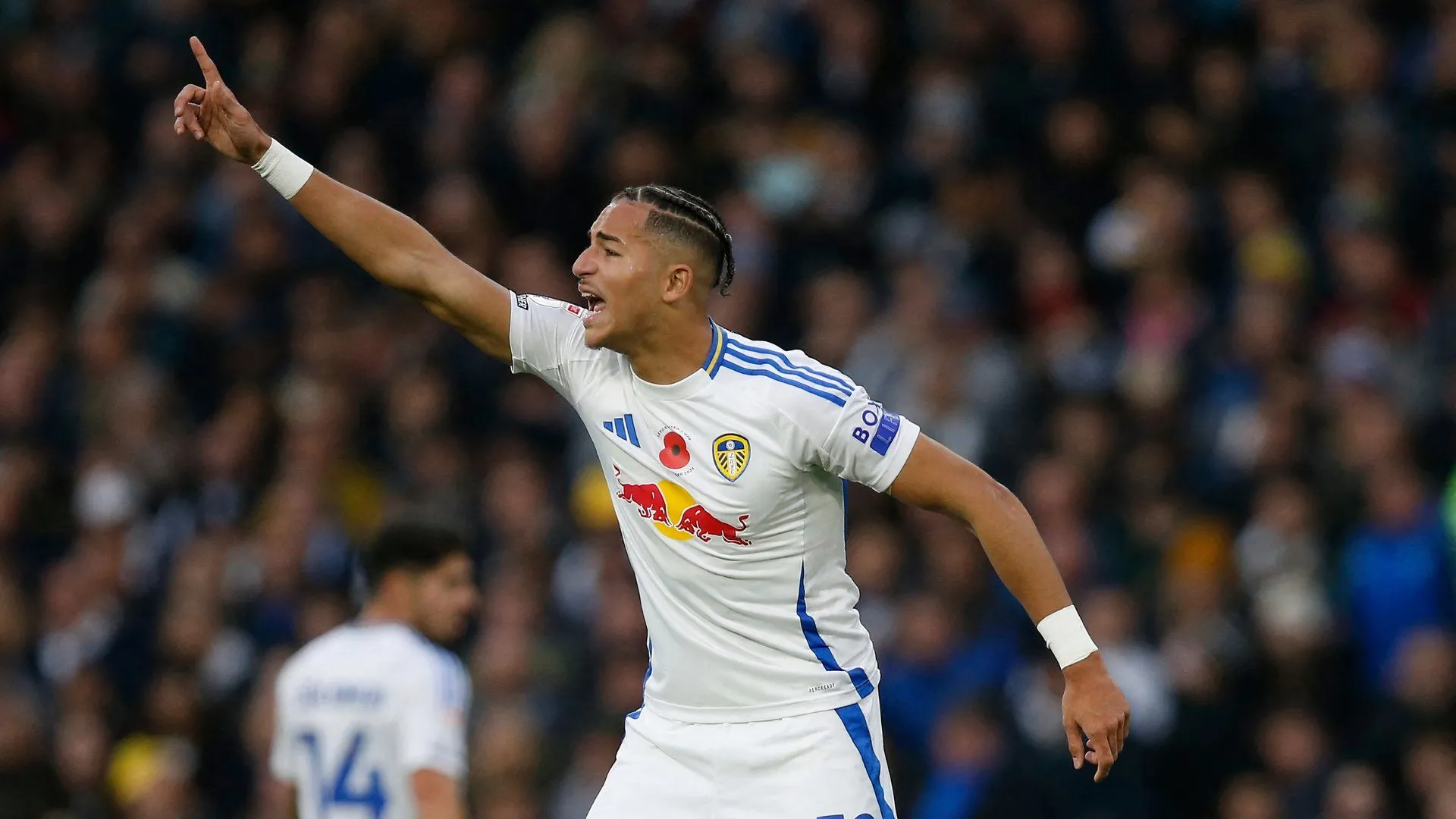 Mateo Joseph của Leeds United trong trận đấu với QPR