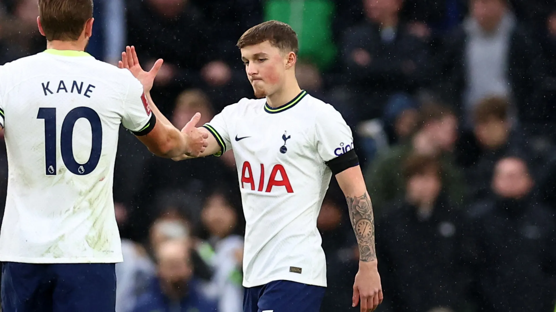 Alfie Devine trong màu áo Tottenham Hotspur đang được xem xét cho một hợp đồng cho mượn mới.