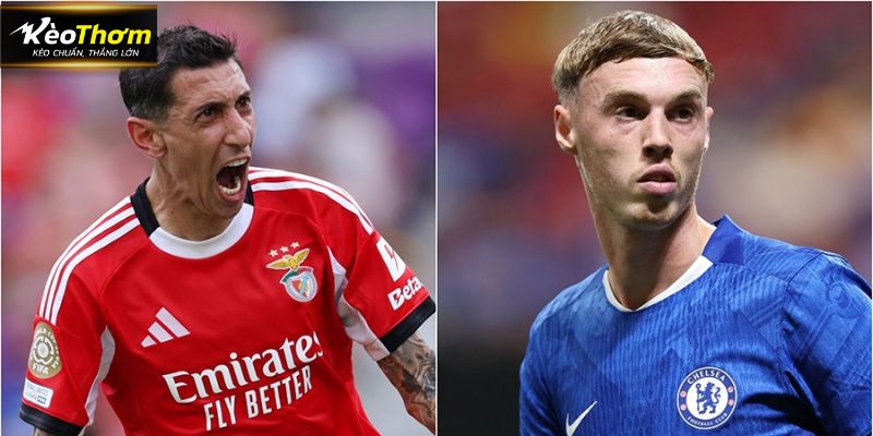 Chelsea Vs Benfica: Soi Kèo Trận Đấu Ngày 01/10/2025 4 Phân tích kèo nhà cái trận Chelsea vs Benfica