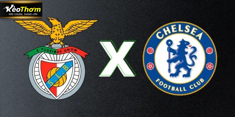 Chelsea Vs Benfica: Soi Kèo Trận Đấu Ngày 01/10/2025 1 Chelsea vs Benfica