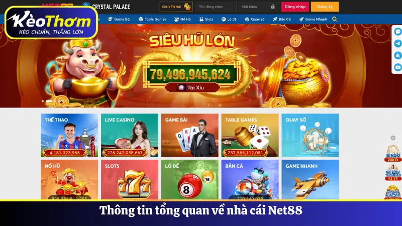 NET88 - Đánh Giá Độ Uy Tín, Bảo Mật Và Ưu Đãi Hấp Dẫn 2025 2 Thông tin tổng quan về nhà cái Net88