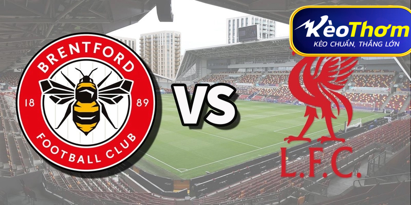 Brentford vs Liverpool Kèo Thơm: Phân tích tỷ lệ, thống kê lịch sử đối đầu 1 Brentford vs Liverpool Kèo Thơm: Phân tích tỷ lệ, thống kê lịch sử đối đầu