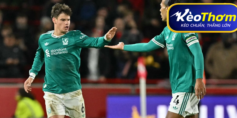 Brentford vs Liverpool Kèo Thơm: Phân tích tỷ lệ, thống kê lịch sử đối đầu 5 Dự đoán đội hình vận hành