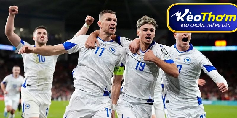 Canada vs Bosnia-Herzegovina Kèo Thơm: Phân tích tỷ lệ, thống kê lịch sử 2 Giải mã Canada: "Cơn lốc đỏ" thống trị sân nhà
