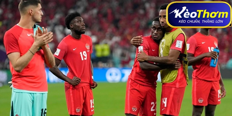 Canada vs Qatar | Thống Kê Đối Đầu Và Tương Quan Phong Độ 5 Lịch sử đối đầu Canada vs Qatar: Quá khứ nghiêng về Bắc Mỹ
