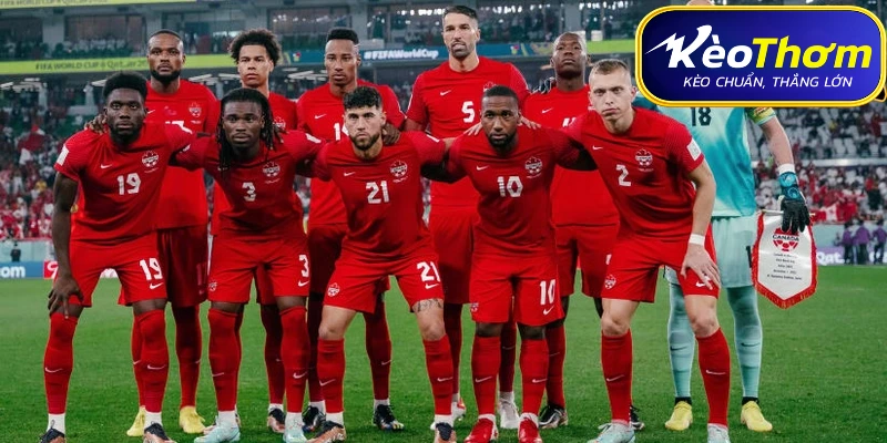 Canada vs Qatar | Thống Kê Đối Đầu Và Tương Quan Phong Độ 6 Nhận định soi kèo Canada vs Qatar từ chuyên gia Kèo Thơm