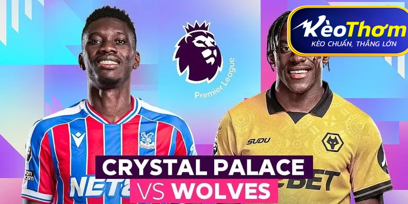 Crystal Palace vs Wolves Kèo Thơm: Phân tích tỷ lệ, thống kê lịch sử đối đầu 2 Hiệu suất ghi bàn và đặc điểm trận đấu