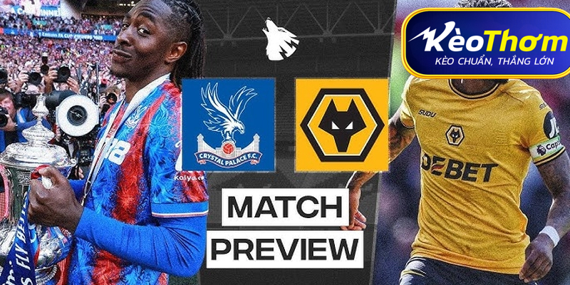 Crystal Palace vs Wolves Kèo Thơm: Phân tích tỷ lệ, thống kê lịch sử đối đầu 3 Wolves: Khủng hoảng chưa có lối thoát