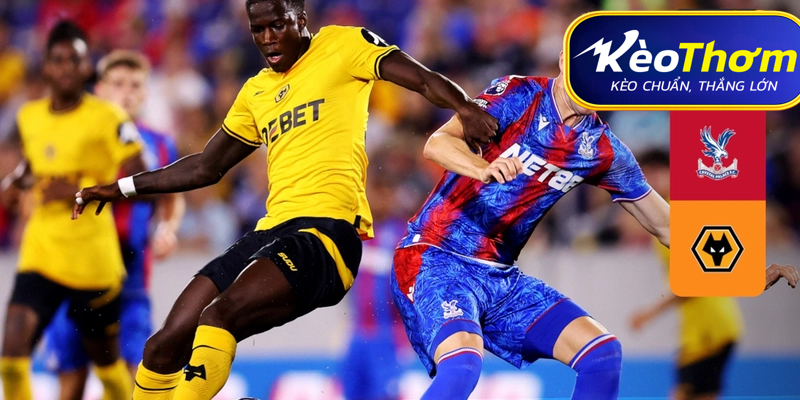 Crystal Palace vs Wolves Kèo Thơm: Phân tích tỷ lệ, thống kê lịch sử đối đầu 4 Khả năng luân chuyển trạng thái của Palace