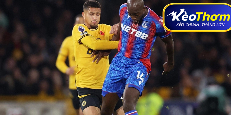 Crystal Palace vs Wolves Kèo Thơm: Phân tích tỷ lệ, thống kê lịch sử đối đầu 5 Tình hình lực lượng phía Wolves