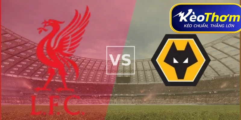 Liverpool vs Wolves Kèo Thơm: Phân tích tỷ lệ, thống kê lịch sử đối đầu 1 Liverpool vs Wolves Kèo Thơm: Phân tích tỷ lệ, thống kê lịch sử đối đầu