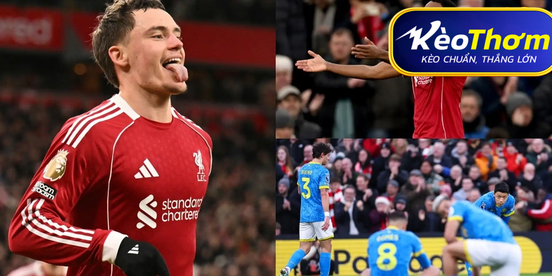 Liverpool vs Wolves Kèo Thơm: Phân tích tỷ lệ, thống kê lịch sử đối đầu 3 Nỗ lực thoát hiểm của "Bầy sói"