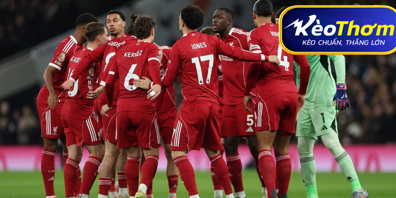 Liverpool vs Wolves Kèo Thơm: Phân tích tỷ lệ, thống kê lịch sử đối đầu 4 Chiến thuật phòng ngự phản công của Wolves