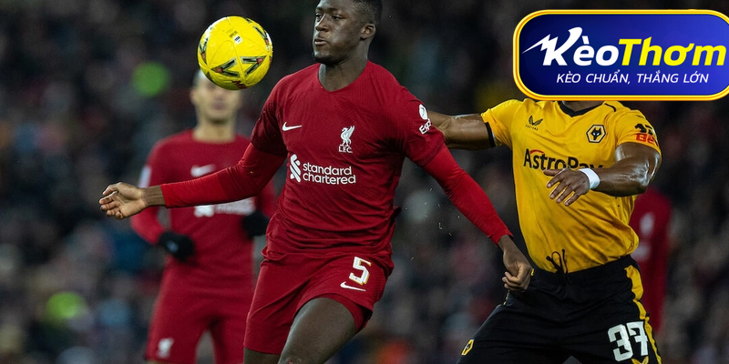 Liverpool vs Wolves Kèo Thơm: Phân tích tỷ lệ, thống kê lịch sử đối đầu 5 Điểm nóng khu trung tuyến và tỷ lệ chuyền bóng
