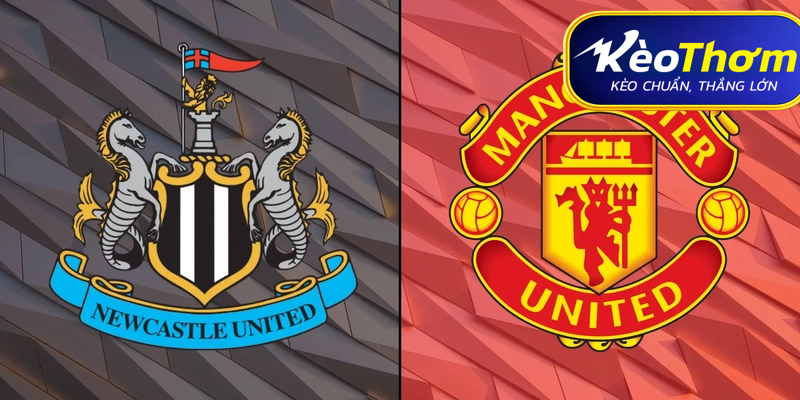 Man Utd vs Newcastle Kèo Thơm: Phân tích tỷ lệ, thống kê lịch sử đối đầu 1 Man Utd vs Newcastle Kèo Thơm: Phân tích tỷ lệ, thống kê lịch sử đối đầu