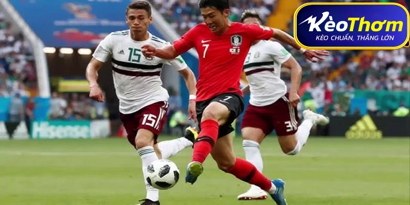 Bảng tóm tắt dữ liệu trận đấu Mexico vs Hàn Quốc và nhận định soi kèo