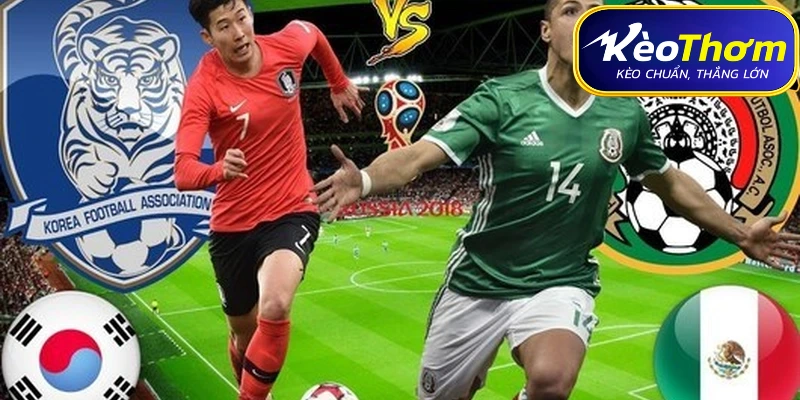 Hàn Quốc: Bản lĩnh "Chiến binh Taegeuk" và Son Heung-min
