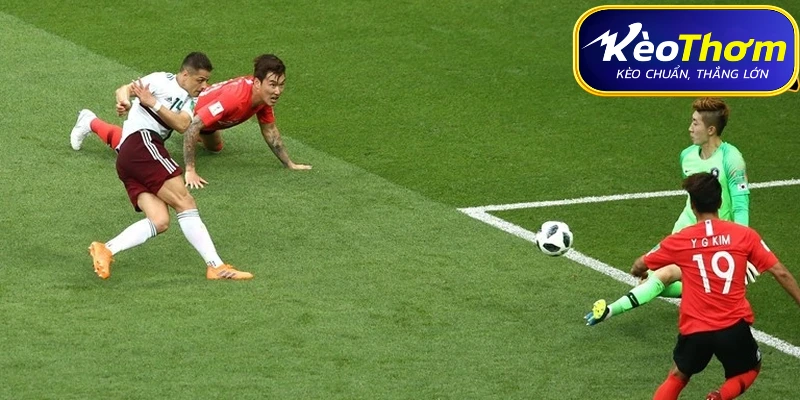 Đội hình dự kiến Mexico vs Hàn Quốc ngày 19/06/2026