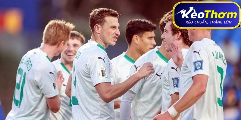 Thông tin và nhận định soi kèo trận đấu New Zealand vs Ai Cập tại World Cup 2026.