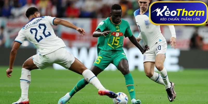 Pháp vs Sénégal | Dấu Ấn Đối Đầu Qua Các Kỳ Chạm Trán 4 Chiến thuật 4-2-3-1 của Pháp với xu hướng áp đặt thế trận tấn công.