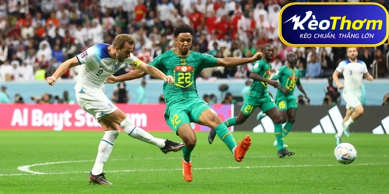 Pháp vs Sénégal | Dấu Ấn Đối Đầu Qua Các Kỳ Chạm Trán 6 Lịch sử đối đầu Pháp vs Sénégal qua các năm với các mốc thời gian cụ thể.