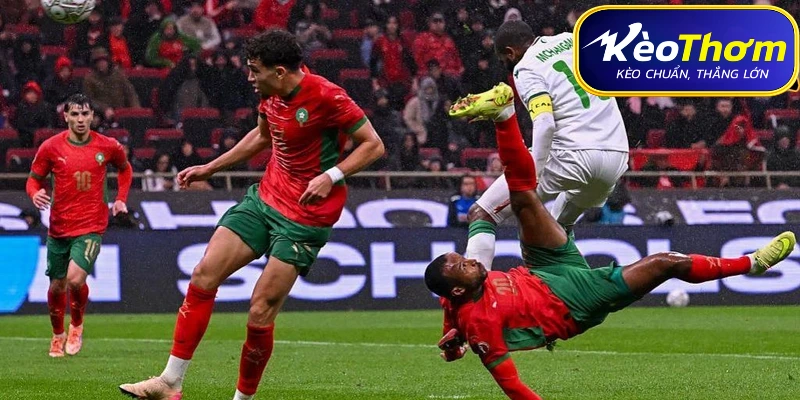 Lịch sử đối đầu Scotland vs Maroc