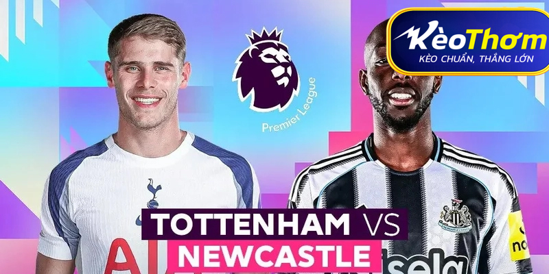 Tottenham vs Newcastle Kèo Thơm: Phân tích tỷ lệ, thống kê lịch sử đối đầu