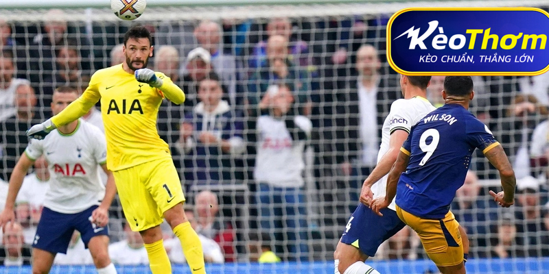 Newcastle ăn mừng bàn thắng vào lưới Tottenham