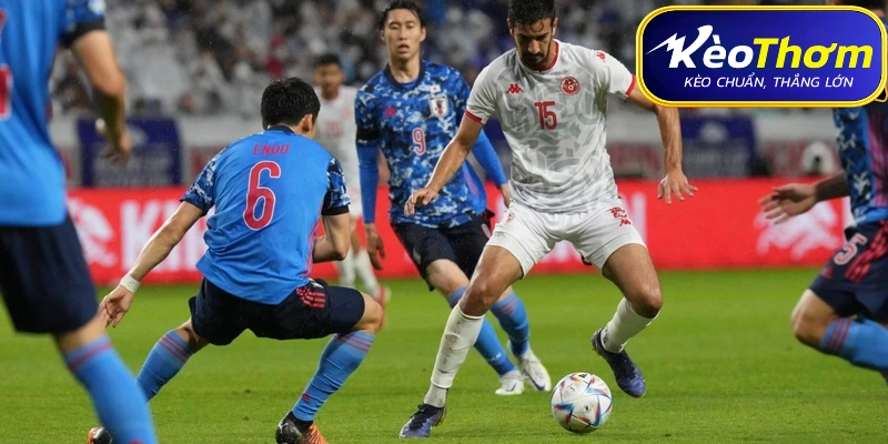 Tóm tắt dữ liệu trận đấu Tunisia vs Nhật Bản và nhận định soi kèo