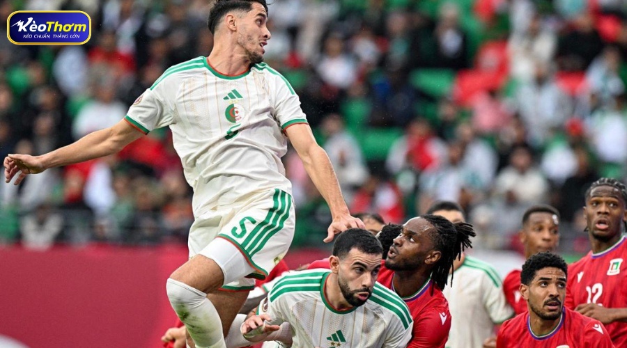 Riyad Mahrez vẫn là linh hồn trong các đợt tấn công của "Les Fennecs".