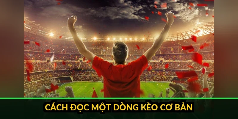 Kèo Nhà Cái Là Gì? Cách Đọc Cho Người Mới 2026 4 Chú thích cách đọc một dòng kèo nhà cái