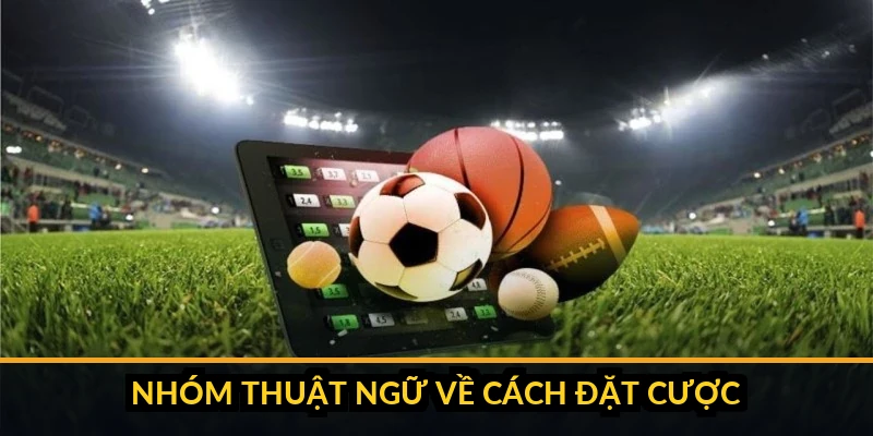 Thuật Ngữ Kèo Bóng Đá A-Z: Từ Điển Cho Người Mới 4 Phân biệt cược đơn và cược xâu, quản lý vốn