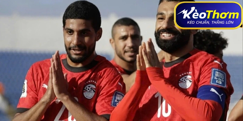 Bỉ vs Ai Cập - Thành Tích Đối Đầu Và Thống Kê Chi Tiết 1 Bỉ vs Ai Cập