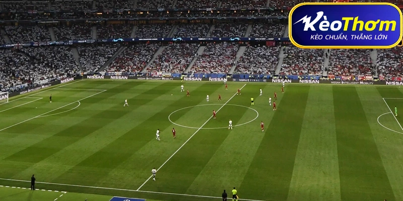 Bỉ vs Iran | Cuộc So Tài Đáng Chú Ý Tại World Cup 2026 2 Thông tin trước trận đấu Bỉ vs Iran tại bảng G World Cup 2026.