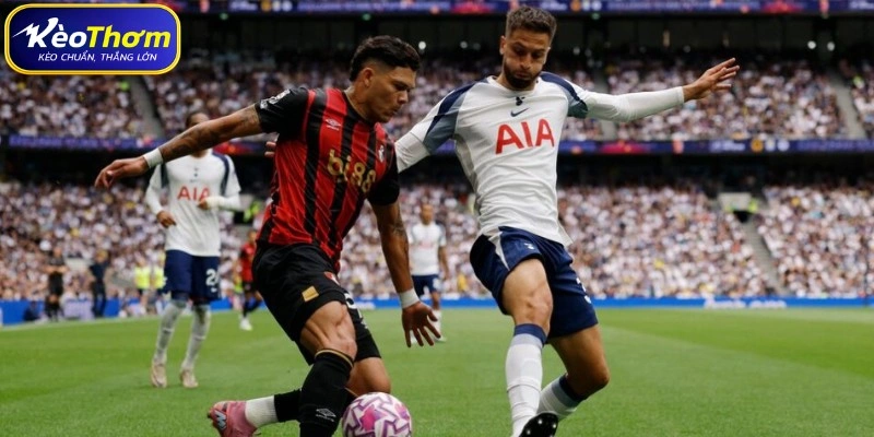 Tổng quát về số liệu thống kê Bournemouth vs Tottenham