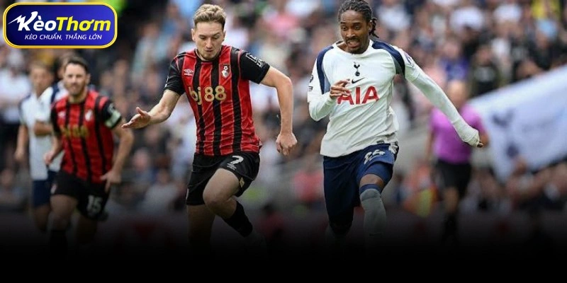 Biên niên sử đối đầu giữa Bournemouth vs Tottenham