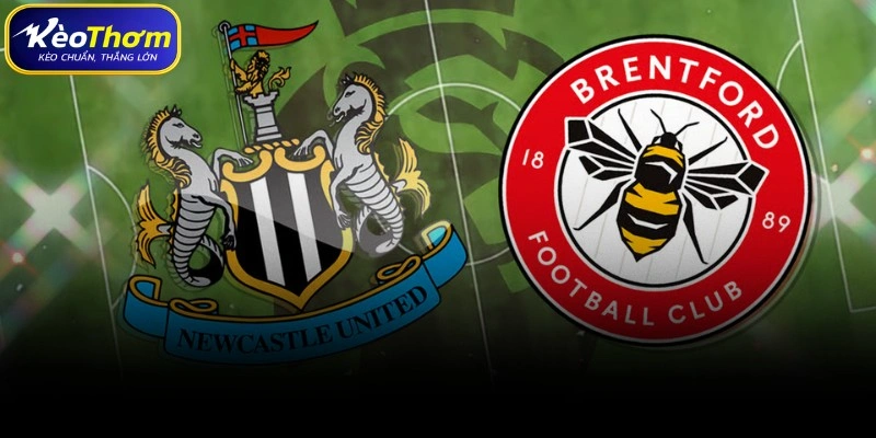 Brentford vs Newcastle | Điểm Nóng Đáng Chờ Tại Ngoại Hạng Anh 1 Brentford vs Newcastle