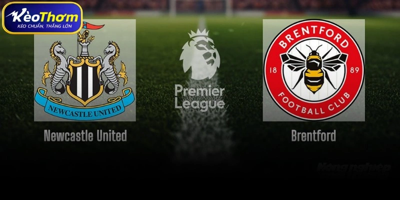 Brentford vs Newcastle | Điểm Nóng Đáng Chờ Tại Ngoại Hạng Anh 3 Biên niên sử đối đầu giữa Brentford vs Newcastle