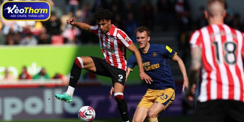 Brentford vs Newcastle | Điểm Nóng Đáng Chờ Tại Ngoại Hạng Anh 2 Tổng quát về số liệu thống kê Brentford vs Newcastle