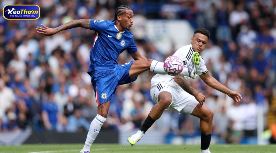 Harry Wilson ăn mừng bàn thắng quyết định vào lưới Chelsea trong trận derby đầy cảm xúc tháng 1/2026.