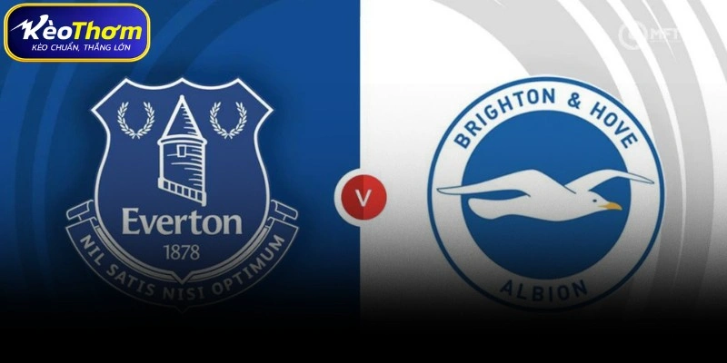 Everton vs Brighton | Màn Chạm Trán Khó Lường Tại Goodison 1 Everton vs Brighton & Hove Albion