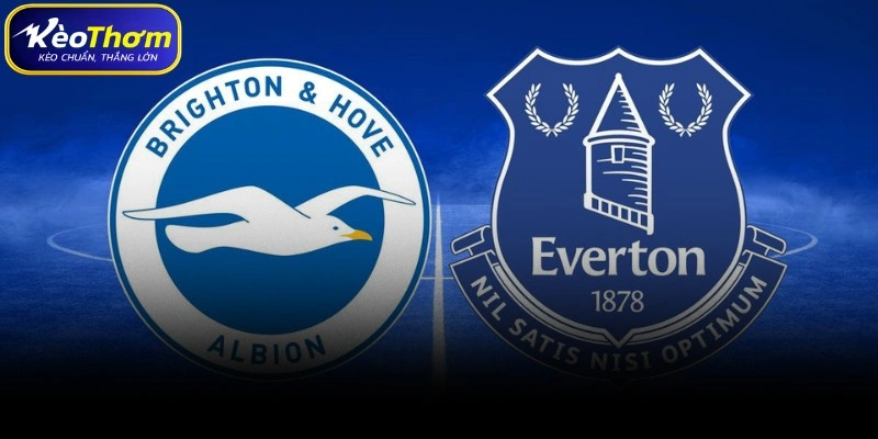 Everton vs Brighton | Màn Chạm Trán Khó Lường Tại Goodison 2 Biên niên sử đối đầu - Khối bê tông kiên cố và triết lý bóng đá tân tiến