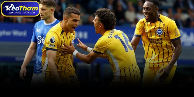 Everton vs Brighton | Màn Chạm Trán Khó Lường Tại Goodison 3 Phân tích chuyên sâu chiến thuật Everton gặp Brighton