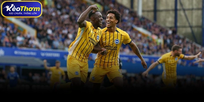 Everton vs Brighton | Màn Chạm Trán Khó Lường Tại Goodison 4 Dự báo xu hướng tương lai soi kèo Everton gặp Brighton