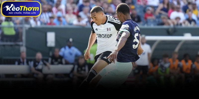 Biên niên sử đối đầu: Sức mạnh của Craven Cottage và bản lĩnh "Bầy ong"