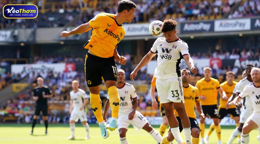 Fulham vs Wolves: Khi Cottagers áp đảo Bầy sói sa sút 5 Nhận định kèo Fulham vs Wolves từ KeoThom