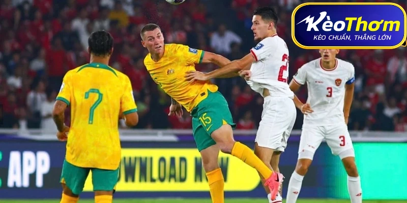 Hoa Kỳ vs Úc | Dấu Ấn Đối Đầu Và Phong Độ Hiện Tại 5 Sơ đồ chiến thuật dự kiến của Hoa Kỳ và Úc cho cuộc đọ sức tại Lumen Field.