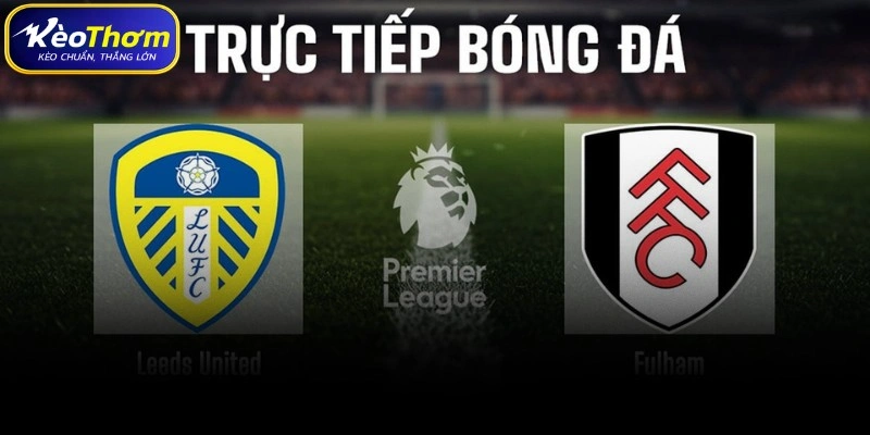 Kinh nghiệm soi kèo Leeds United vs Fulham và Dự báo xu hướng tương lai